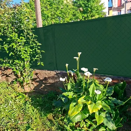 Appartement Il Melograno