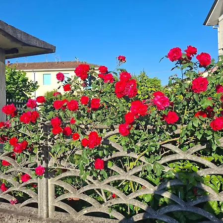 Il Melograno Appartement La Spezia